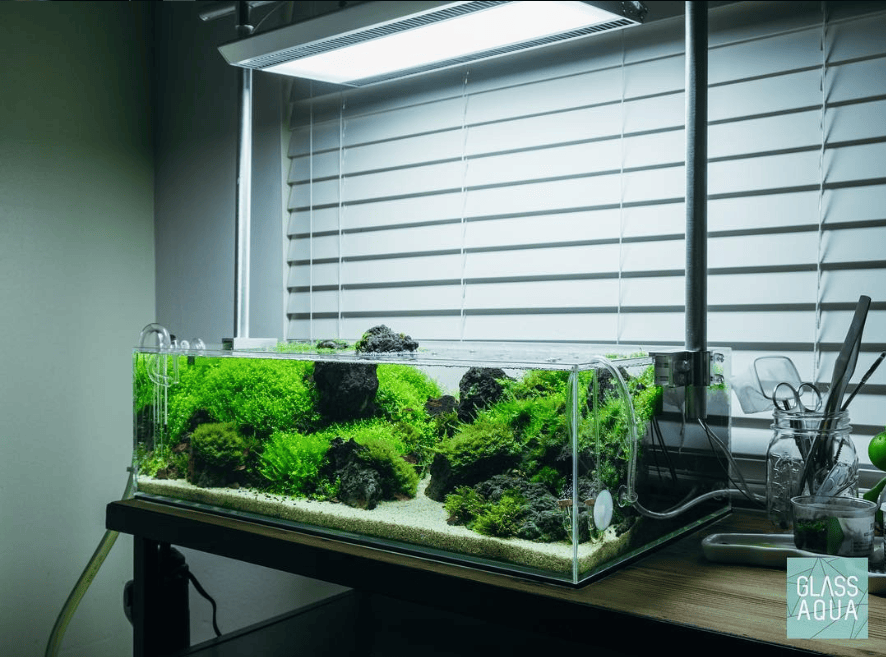 Glass aqua review 2
