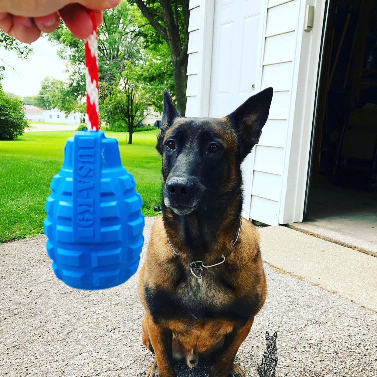 3 best sodapup chew toys