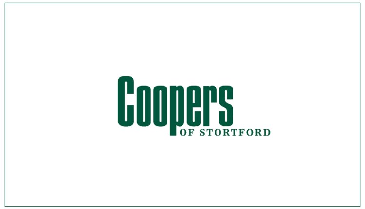 store-logo