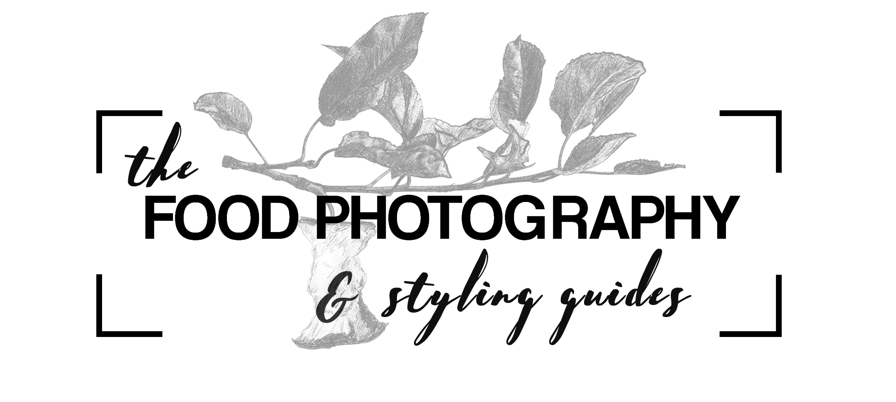 Food Photography + Styling Guides