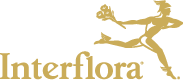 Interflora Australia coupon codes